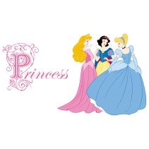 Vinilos adhesivos y pegatinas princesas disney